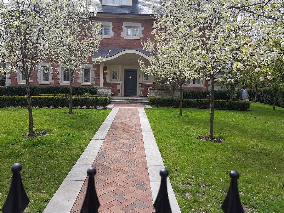 Landscape Design and Construction